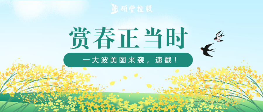 快看!一大波春天美景袭来