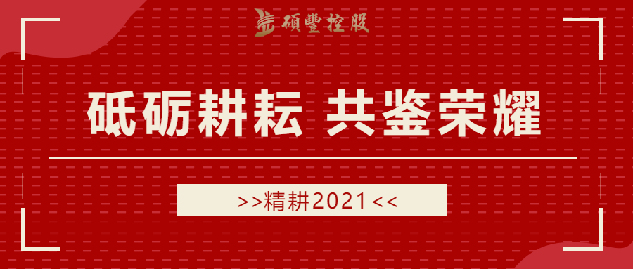 喜报!硕丰控股荣获“推动城市建设贡献奖”等两项大奖