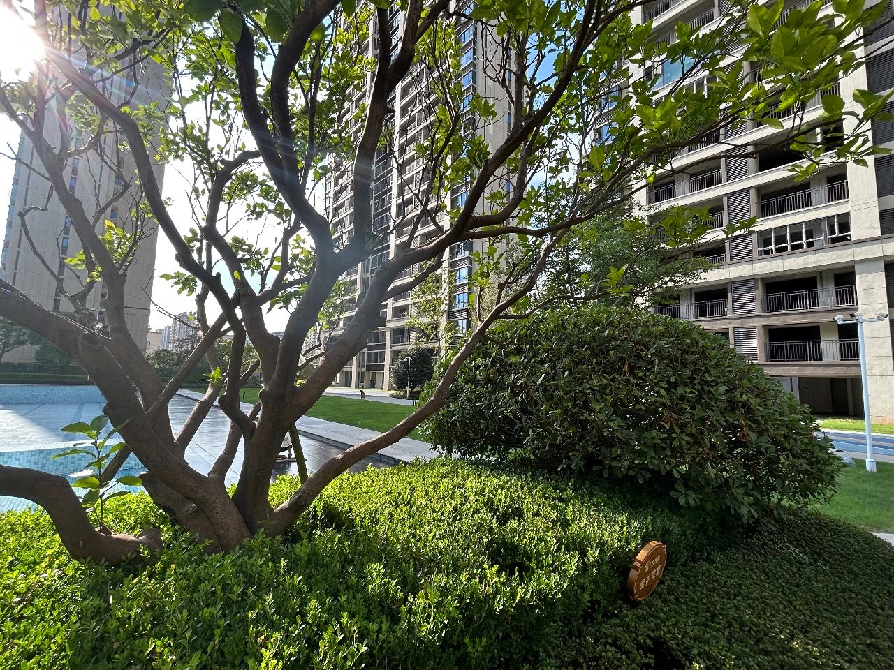 实景敬呈,美好品质无需滤镜!硕丰九方城用高颜值的实景,将期待落地成家~~~